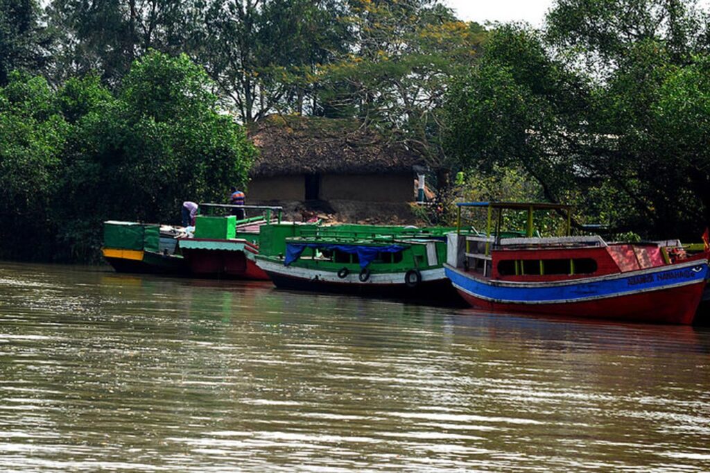 Bhitarkanika National Park mangrove forest and crocodile safari in Odisha