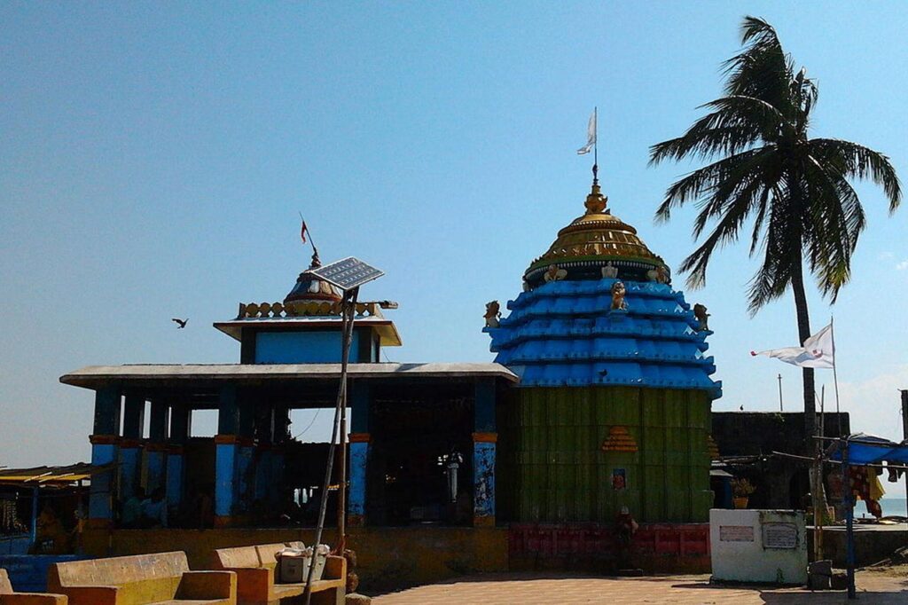 Chilika Lake dolphin watching and boating tour in Odisha
